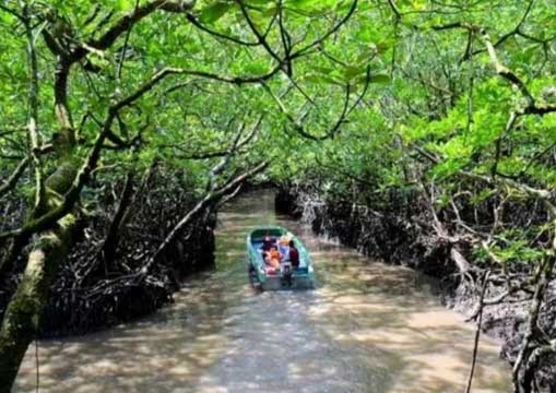 Andaman Tour packages from Kerala